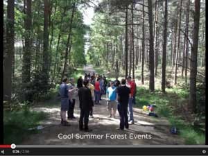 Cool-Summer-Team-Building